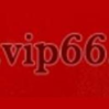 Vip 66 Madrid Logo